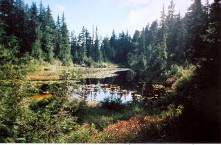Another lake, on the trail to Lindsay Lake 2004-10.